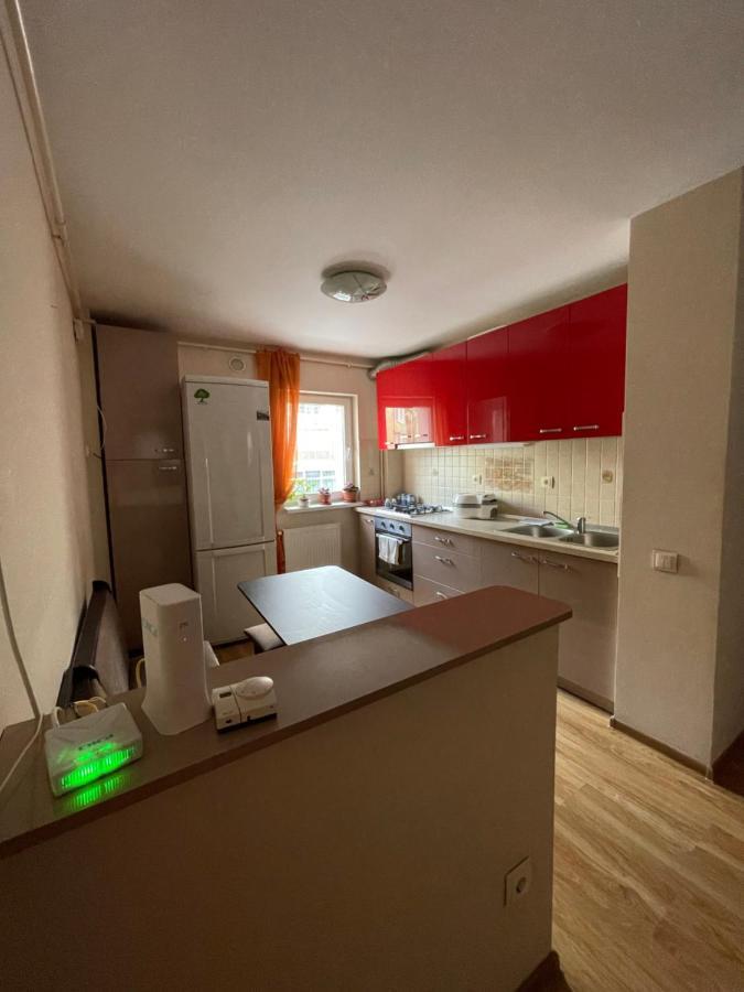 Appartement Cerna Apartament à Braşov Extérieur photo