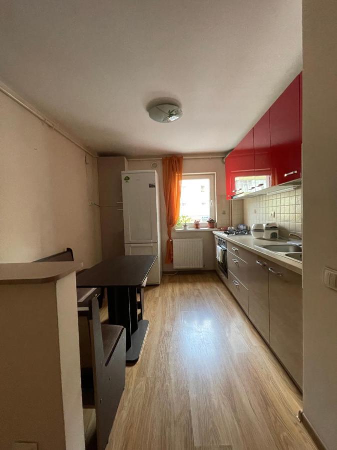 Appartement Cerna Apartament à Braşov Extérieur photo